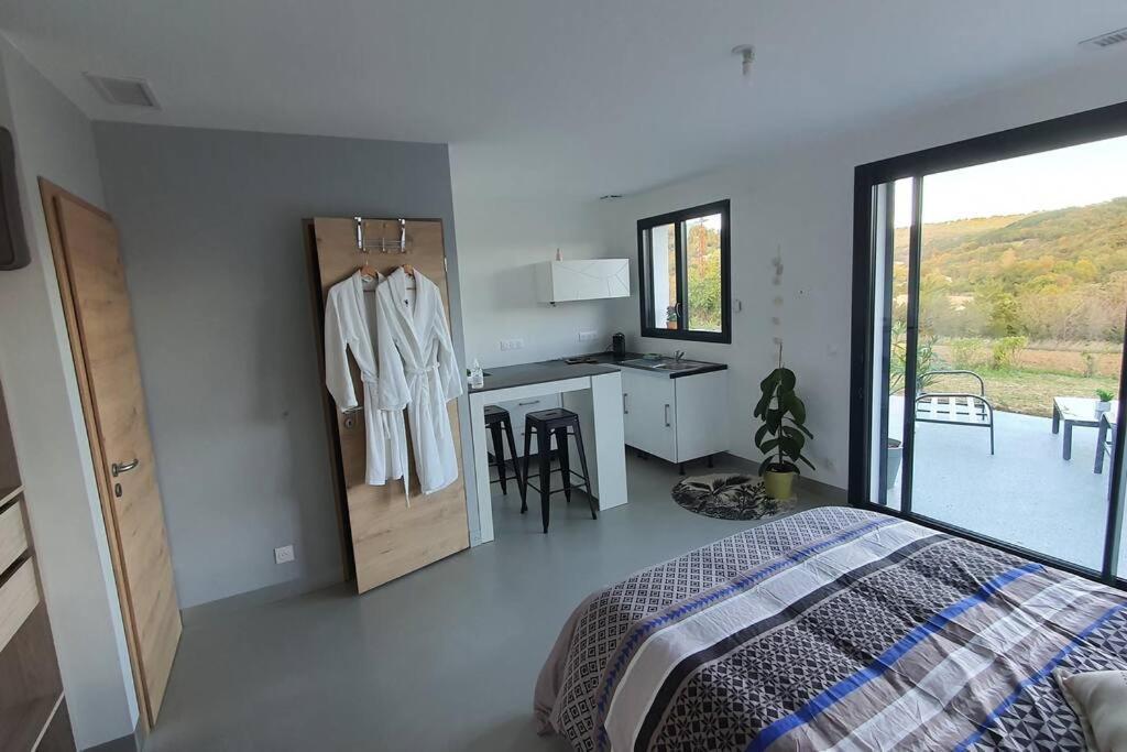 Studio Independant Vue Magnifique Et Au Calme Crest Εξωτερικό φωτογραφία